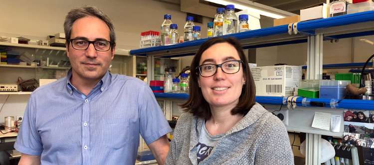 Identifican variantes genéticas raras relacionadas con la transmisión del autismo de los progenitores a los hijos