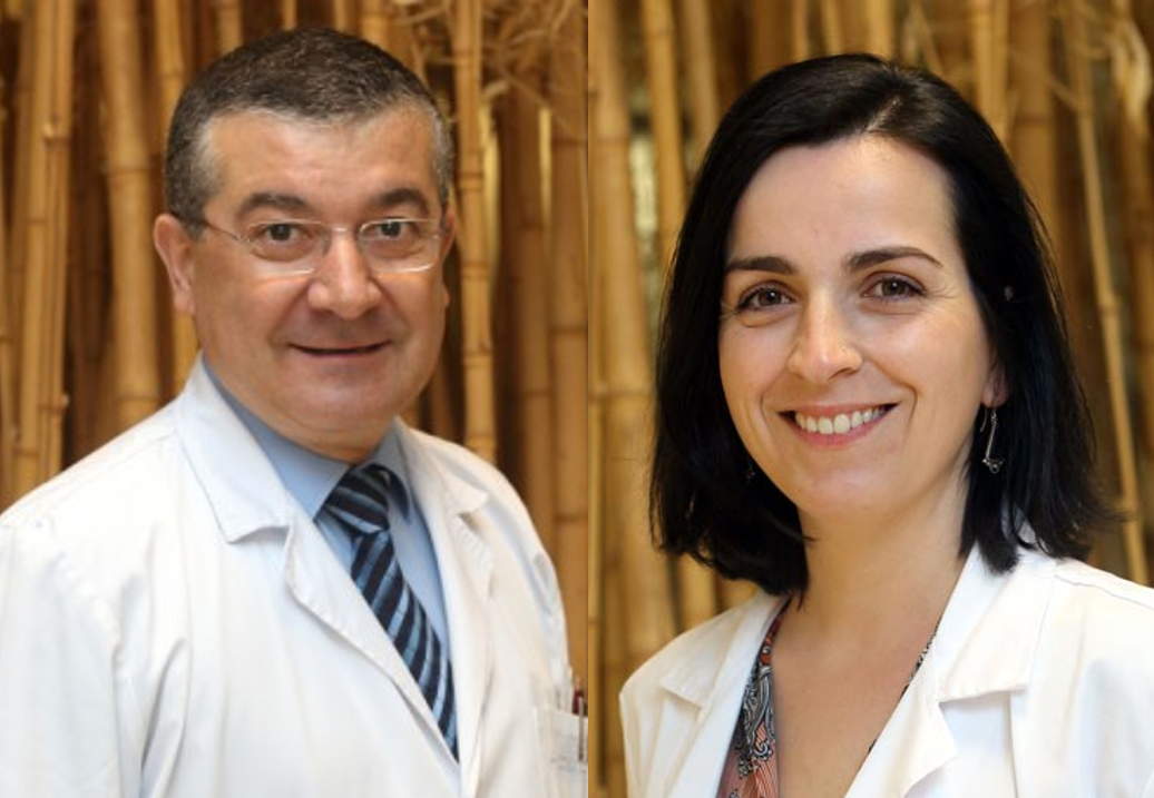 CIBERONC coordina dos proyectos de ‘EuroNanoMed’3