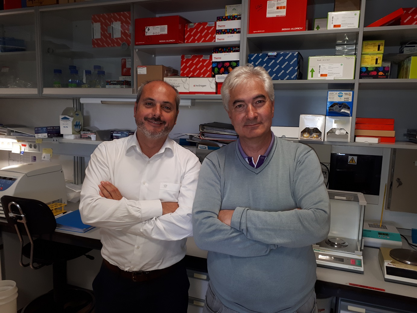 Nuevos fármacos inhibidores del subtipo PROTAC son efectivos en cáncer de mama triple negativo