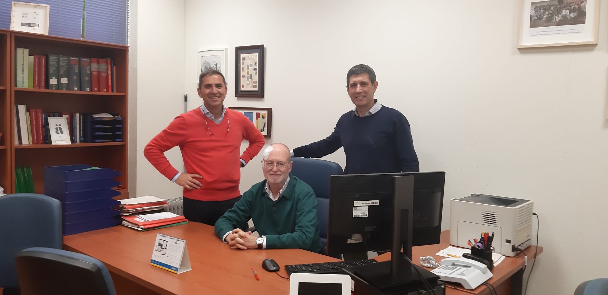 El consumo de aceite de oliva enriquecido en ácido oleanólico reduce a la mitad el riesgo de diabetes tipo 2 en prediabéticos