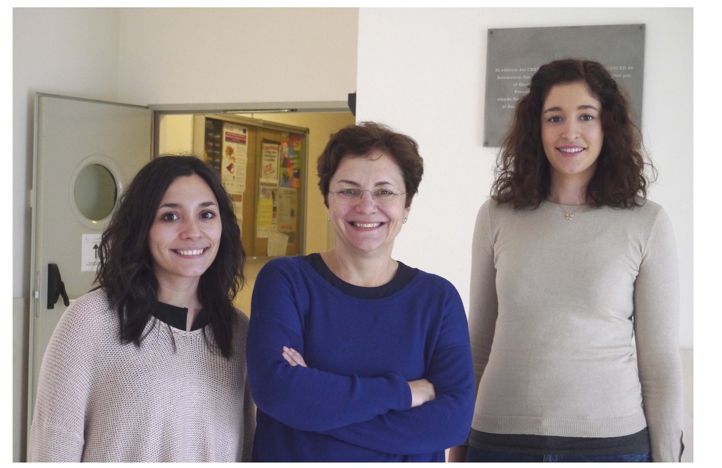 Un nuevo método permite descubrir cómo las células tumorales producen ribosomas para crecer más rápidamente
