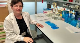 Anna Bigas, nueva directora científica del CIBER de Cáncer