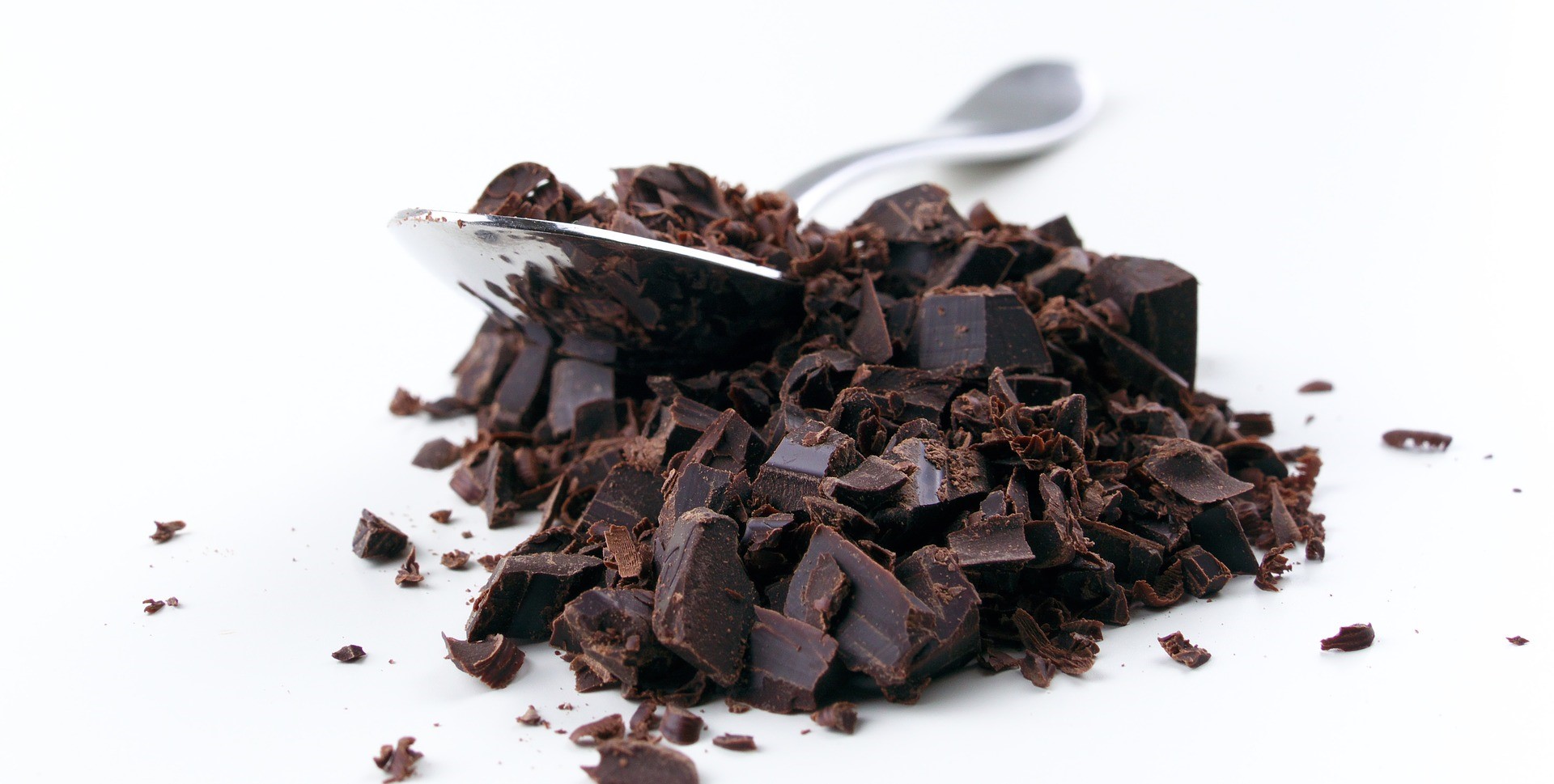 El cacao mejora la microbiota intestinal en un modelo animal con diabetes tipo 2