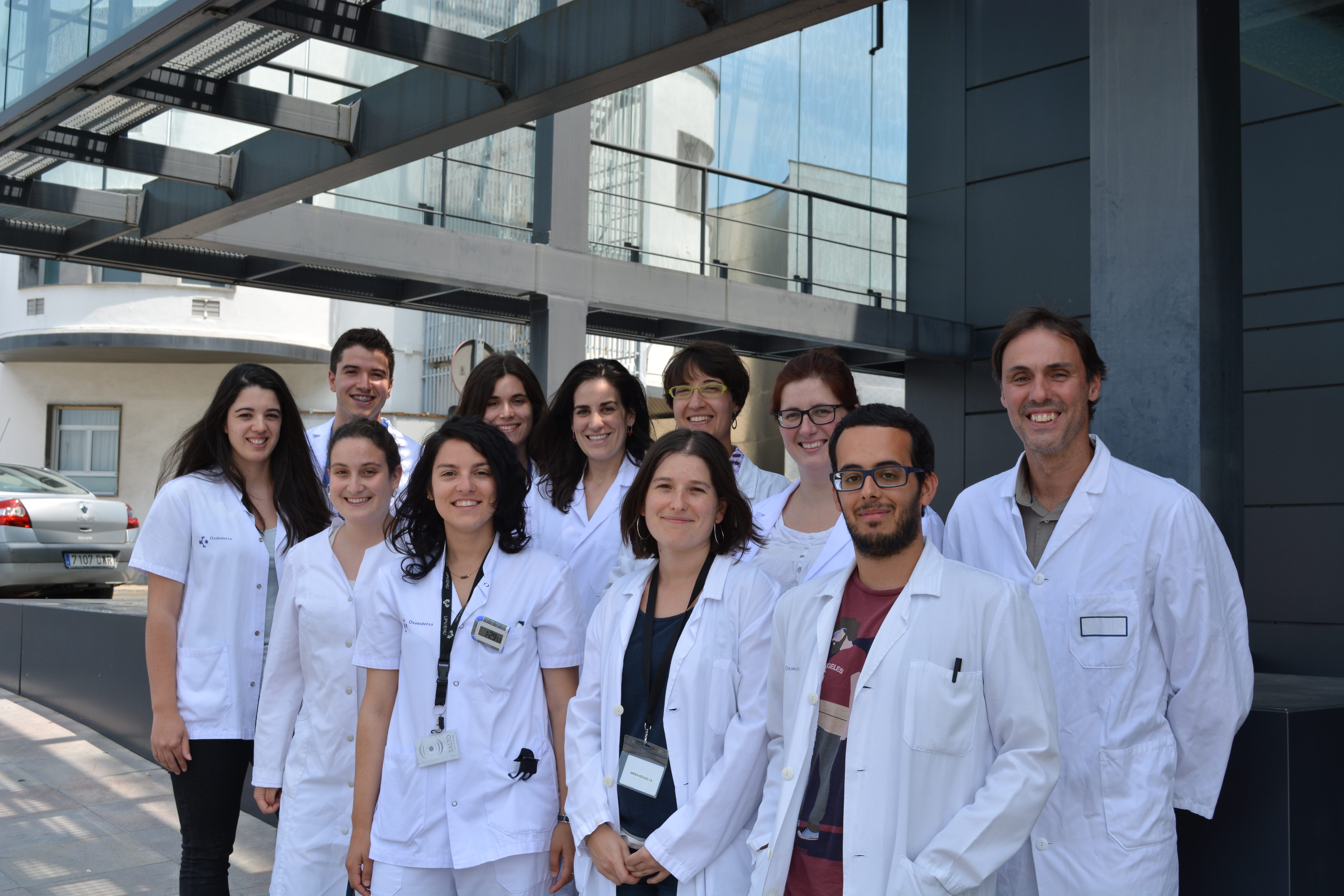 Descubren el papel de la proteína p38MAPK en el envejecimiento de las células madre neurales