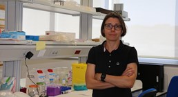 Mª Carmen Gómez-Cabrera participa en una investigación internacional para desarrollar un fármaco contra enfermedades autoinmunes