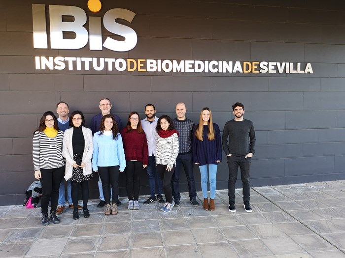 Identificado un  nuevo mecanismo que causa la metástasis en cáncer de mama