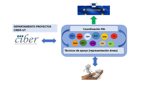 La Plataforma de Internacionalización del CIBER se consolida en sus 11 áreas