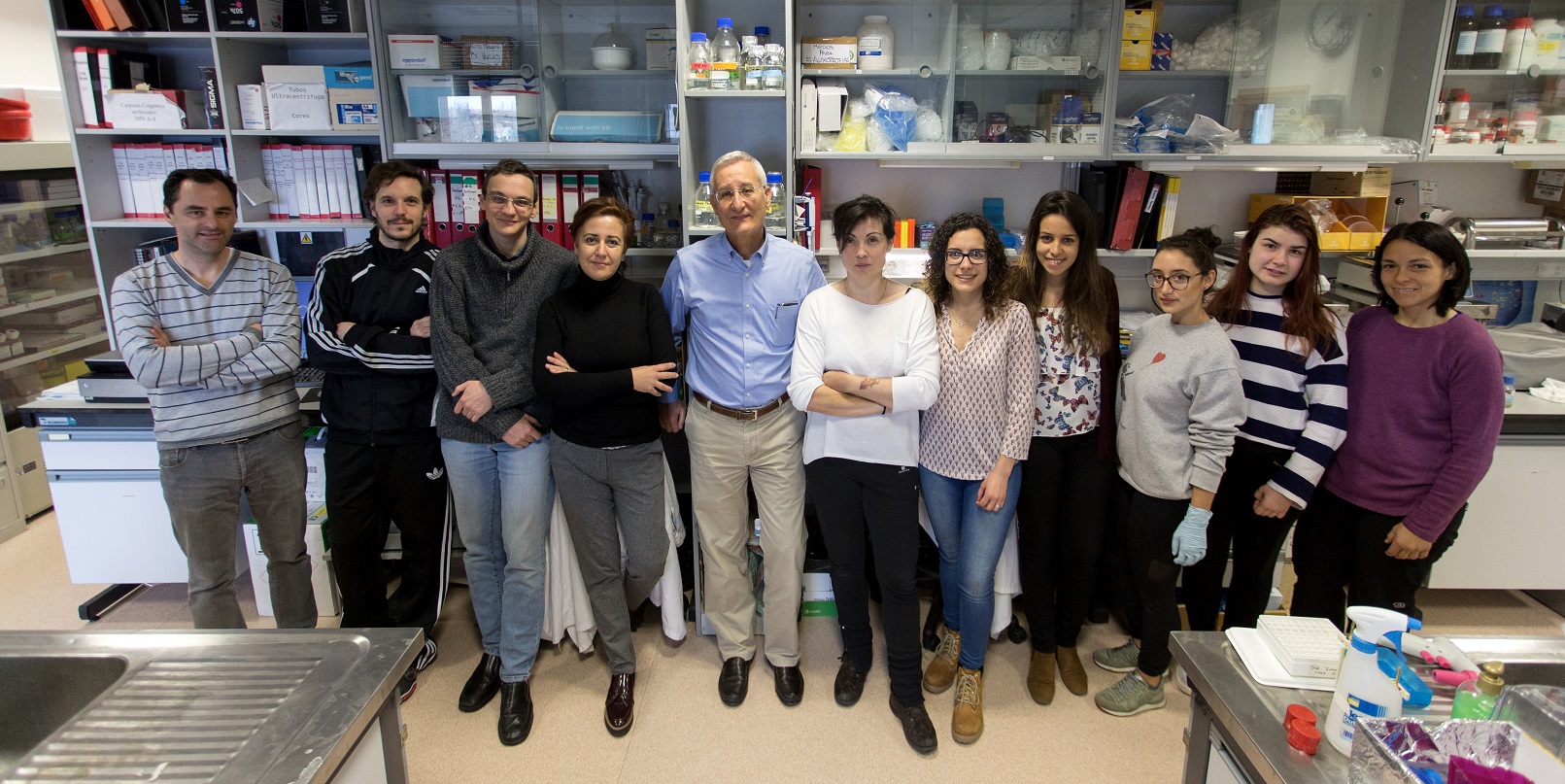 Descubren una nueva función de las proteínas SOS que altera la dinámica y el metabolismo de las mitocondrias