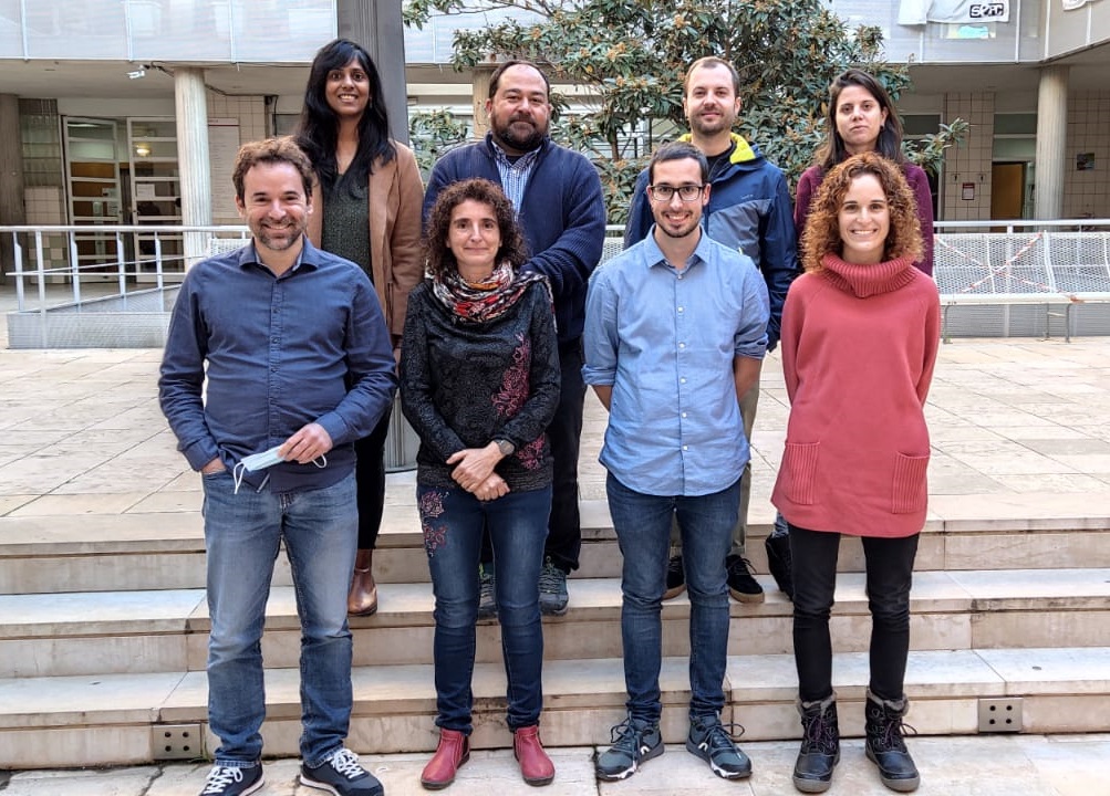 Vinculan la dieta mediterránea con cambios intestinales