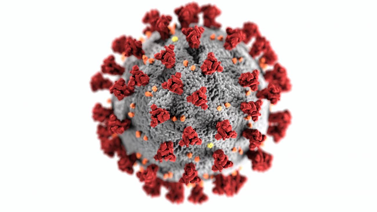 Los pacientes con enfermedades vasculares hepáticas tienen más riesgo de infectarse y sufrir complicaciones por SARS-CoV-2