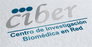 Logo -intro -ciber