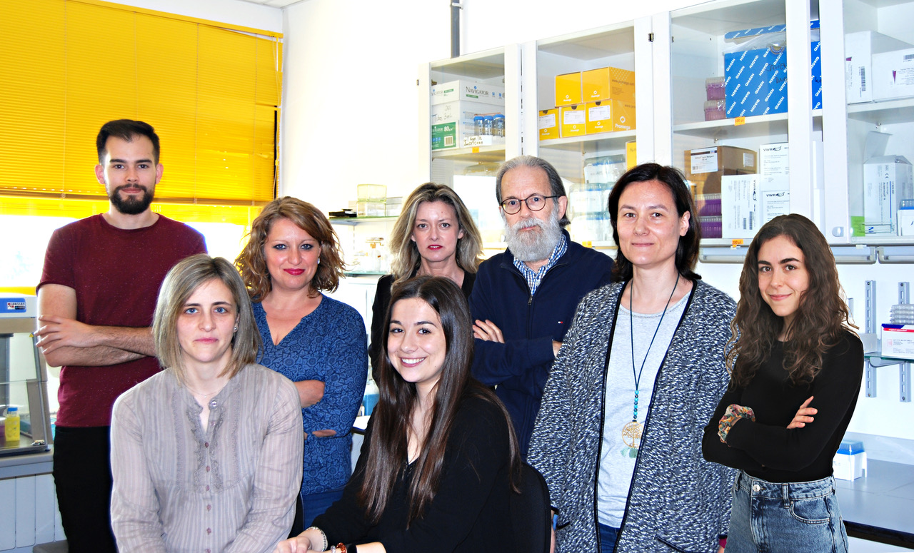La combinación de Akkermansia muciniphila y quercetina mejora la obesidad temprana y la NAFLD