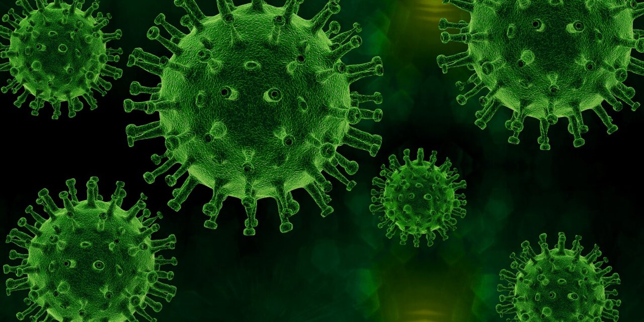 Obtención de nuevos inhibidores del virus de la hepatitis C mediante evolución in vitro