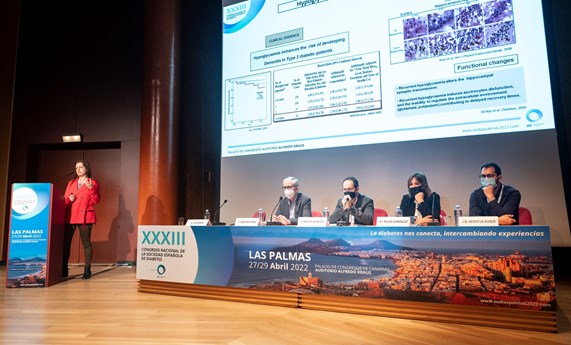 Mesa conjunta SED-CIBERDEM: Lo último y más destacado de la investigación en diabetes en España