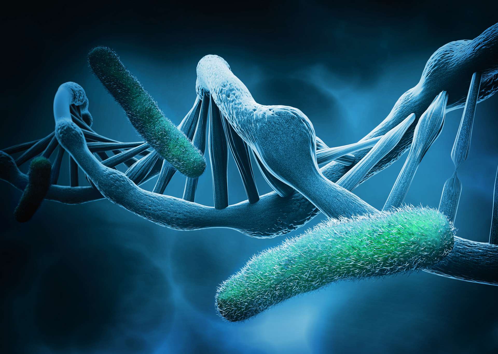 Estudian la propagación interregional de dos bacterias resistentes a antibióticos secuenciando su genoma completo