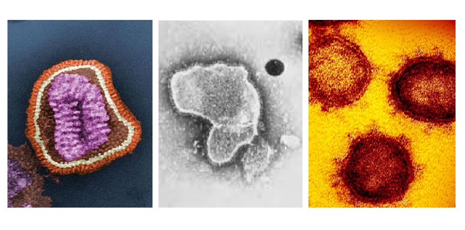 La vigilancia integral de gripe, VRS y COVID-19 revela el comportamiento de las infecciones respiratorias agudas en la temporada 2021-2022