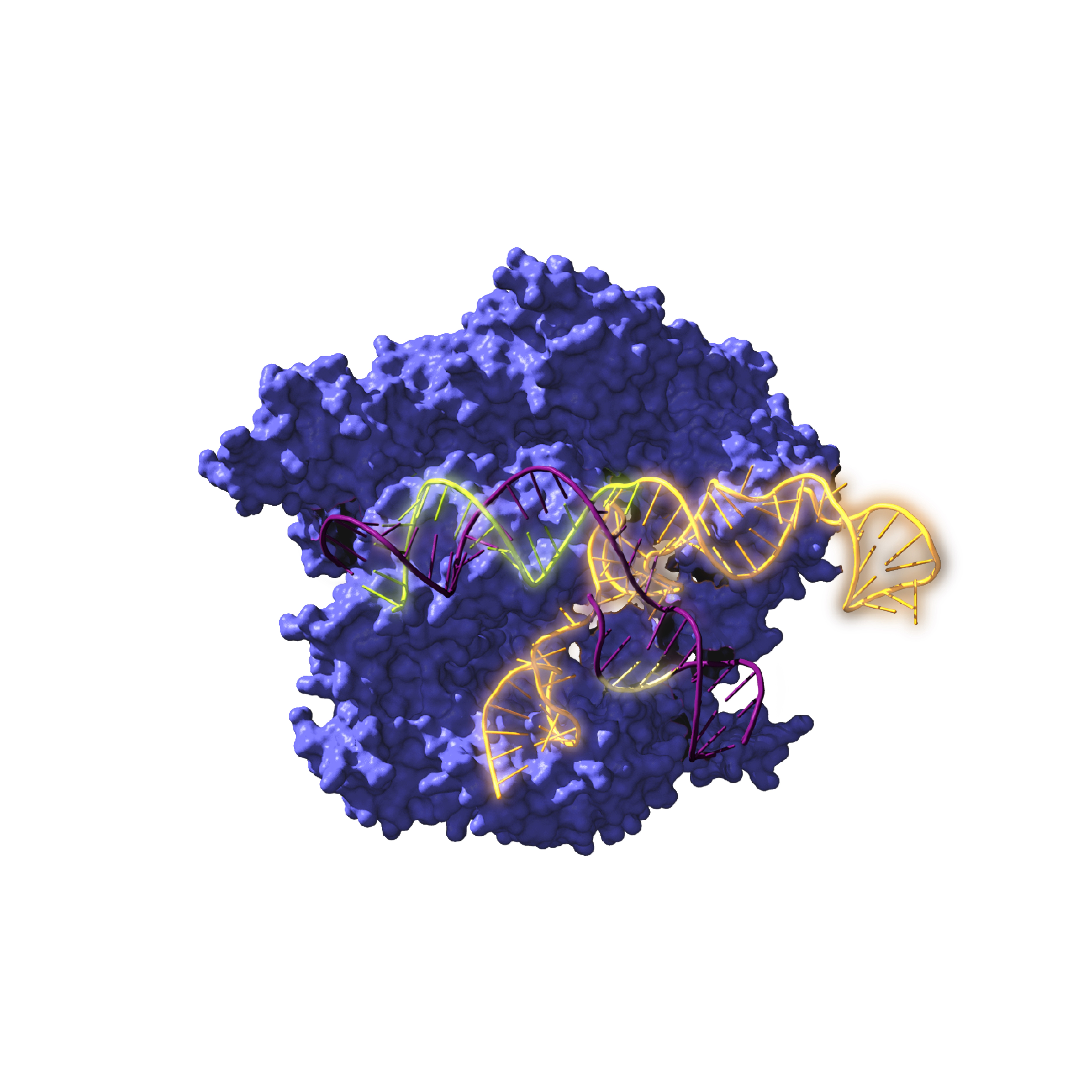 Resucitan ancestros de la herramienta de edición genética CRISPR de hace 2600 millones de años