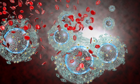 Equipos del CIBERINFEC y del CIBER-BBN lideran un estudio que identifica biomarcadores para prevenir los repuntes de la carga viral del VIH pediátrico