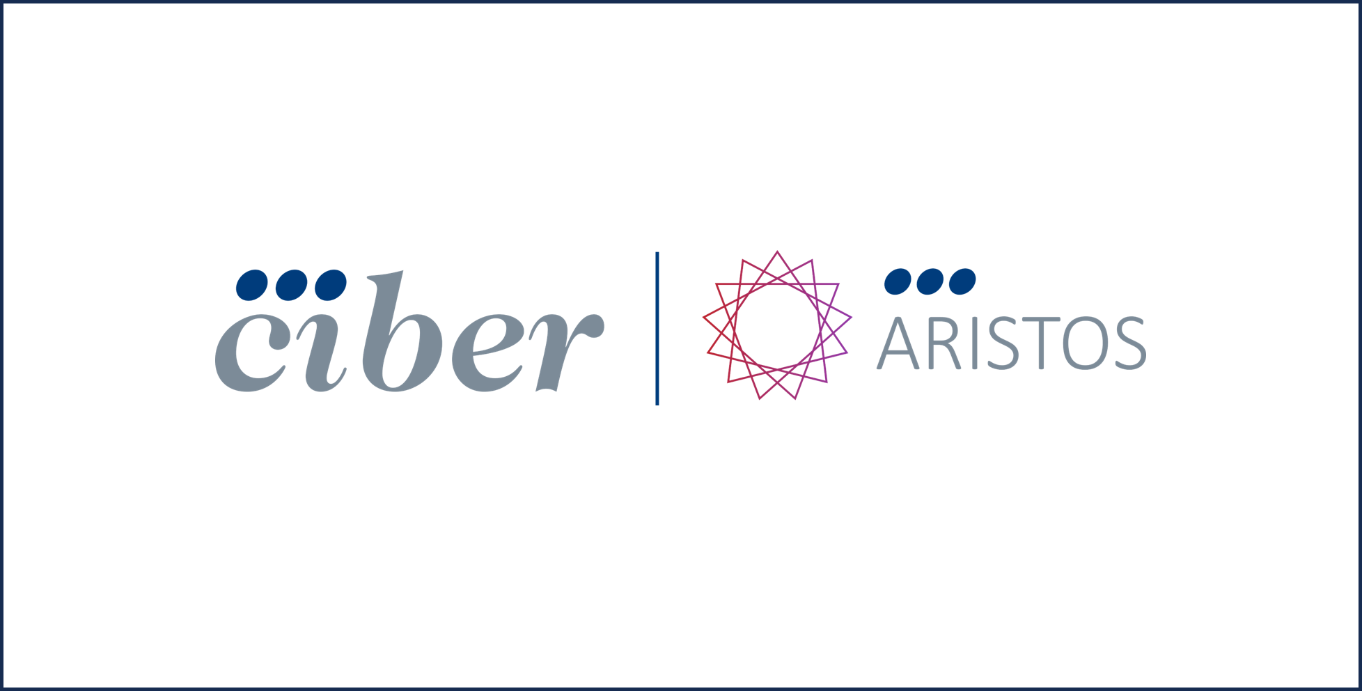 Comienza el Proyecto ARISTOS con la participación de las 13 áreas temáticas CIBER
