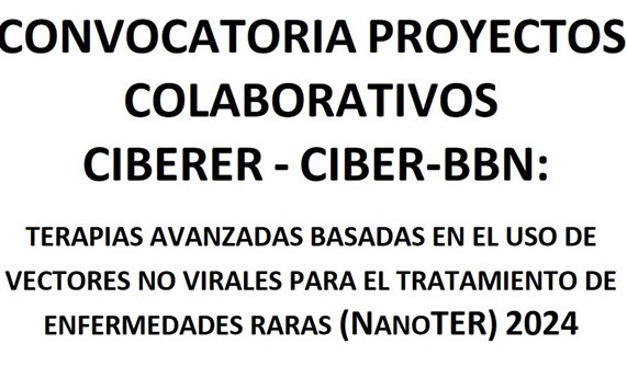 I Convocatoria colaborativa CIBER de Terapias Avanzadas basadas en el uso de vectores no virales: NanoTER