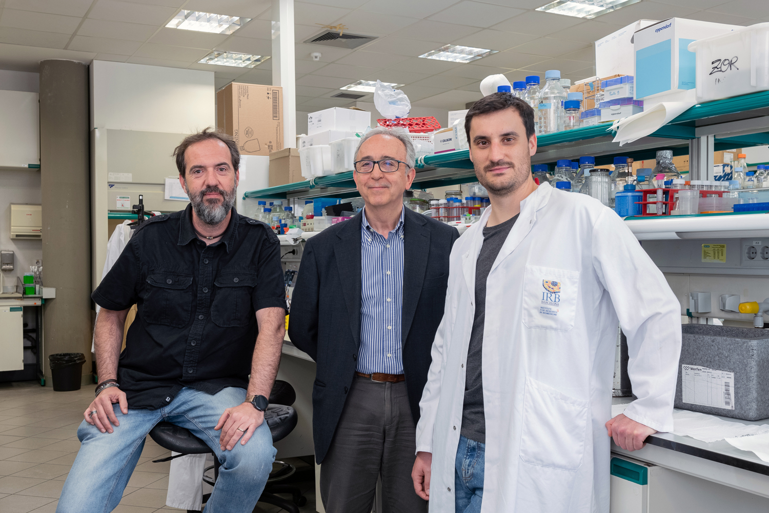 Abren una nueva vía para luchar contra la pérdida de masa muscular en el envejecimiento