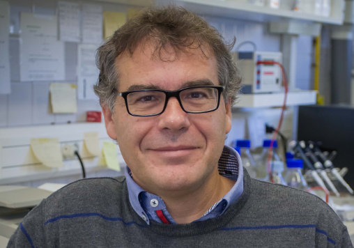 Experimentos de molécula única: cuando la biología encuentra a la física