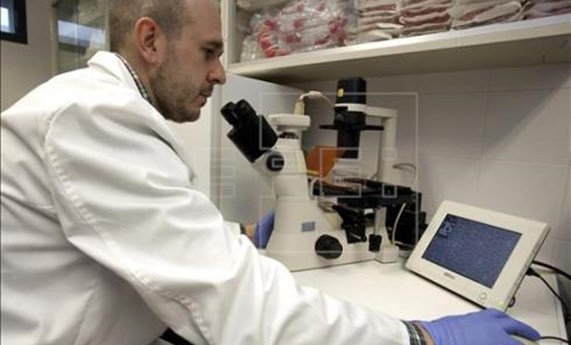 Los biomateriales pueden ayudar a reducir el tratamiento a enfermos de cancer