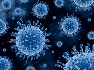 Investigadores del CIBEREHD presentan grandes avances en el tratamiento de la hepatitis C
