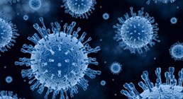 Investigadores del CIBEREHD presentan grandes avances en el tratamiento de la hepatitis C