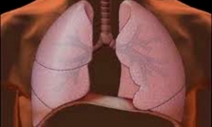 II Ayuda a Proyectos colaborativos multidisciplinares de transferencia tecnológica en patologías respiratorias CIBER-BBN-CIBERES-SEPAR