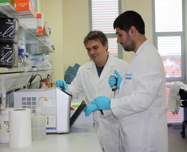 La pista de la malaria en la saliva del mosquito