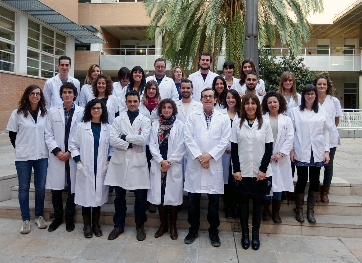 Consumir aceite de oliva virgen reduce un 51% el riesgo de tener una fractura osteoporótica