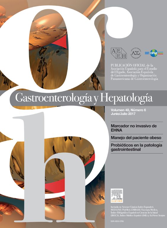 Publicada la guía clínica sobre las enfermedades vasculares hepáticas