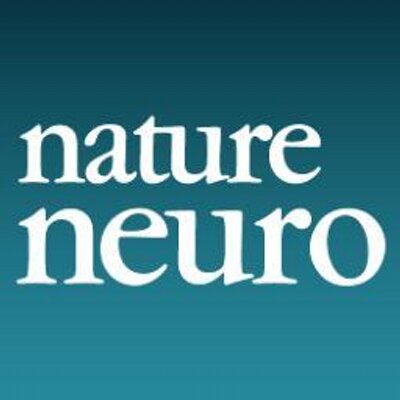 Hallan mutaciones postcigóticas que permitirán mejorar el diagnóstico genético del autismo