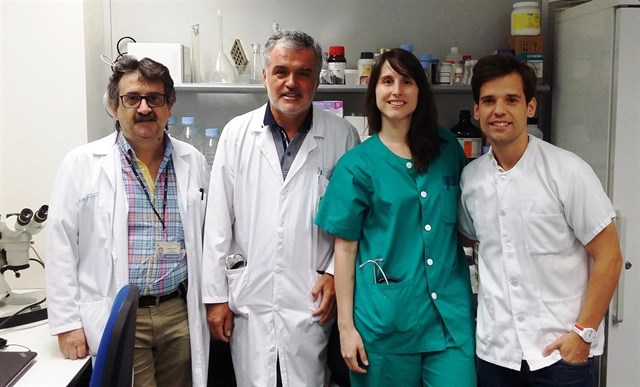 Encuentran una nueva vía para mejorar los resultados en trasplante cardiaco